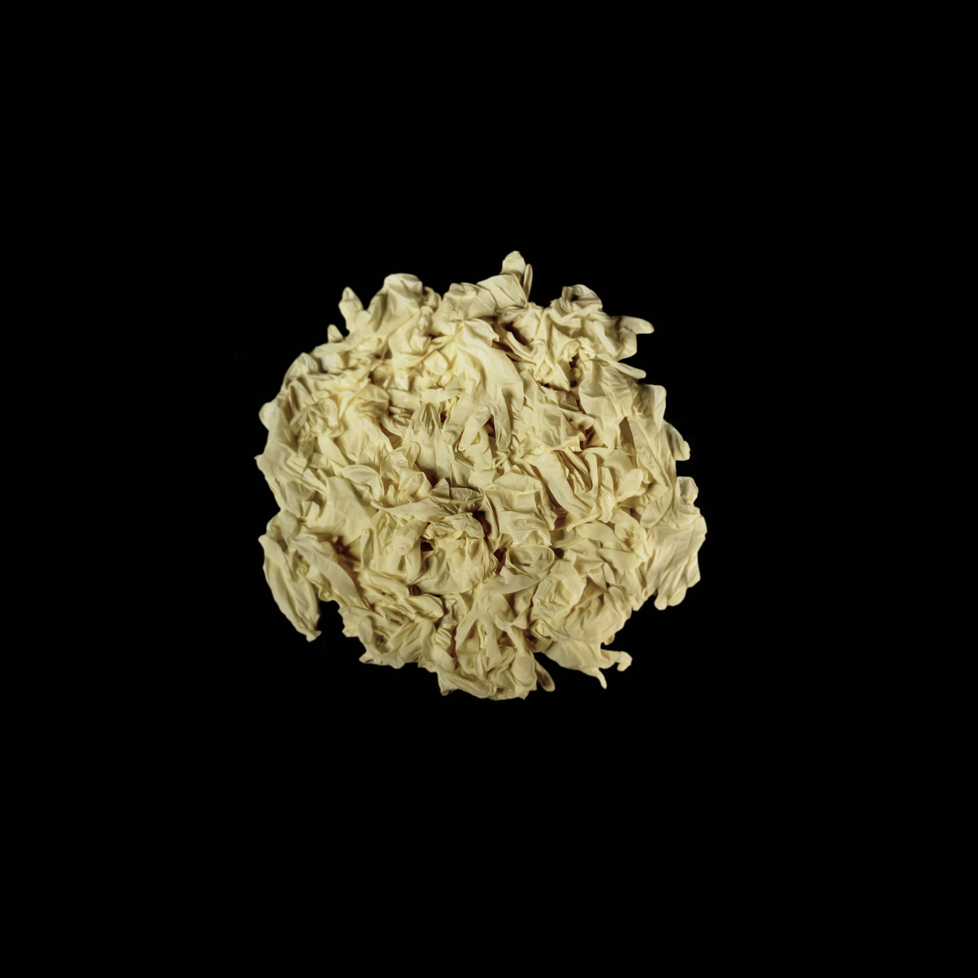 coronavirus-1 copia