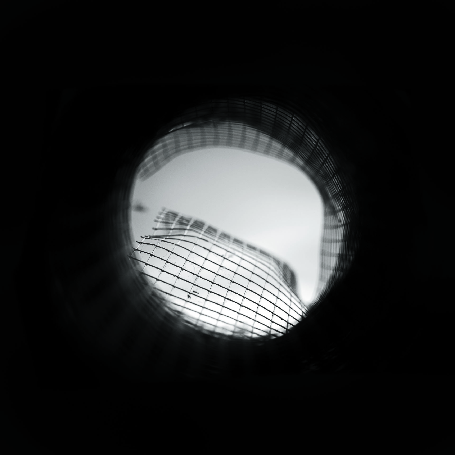 moon copia
